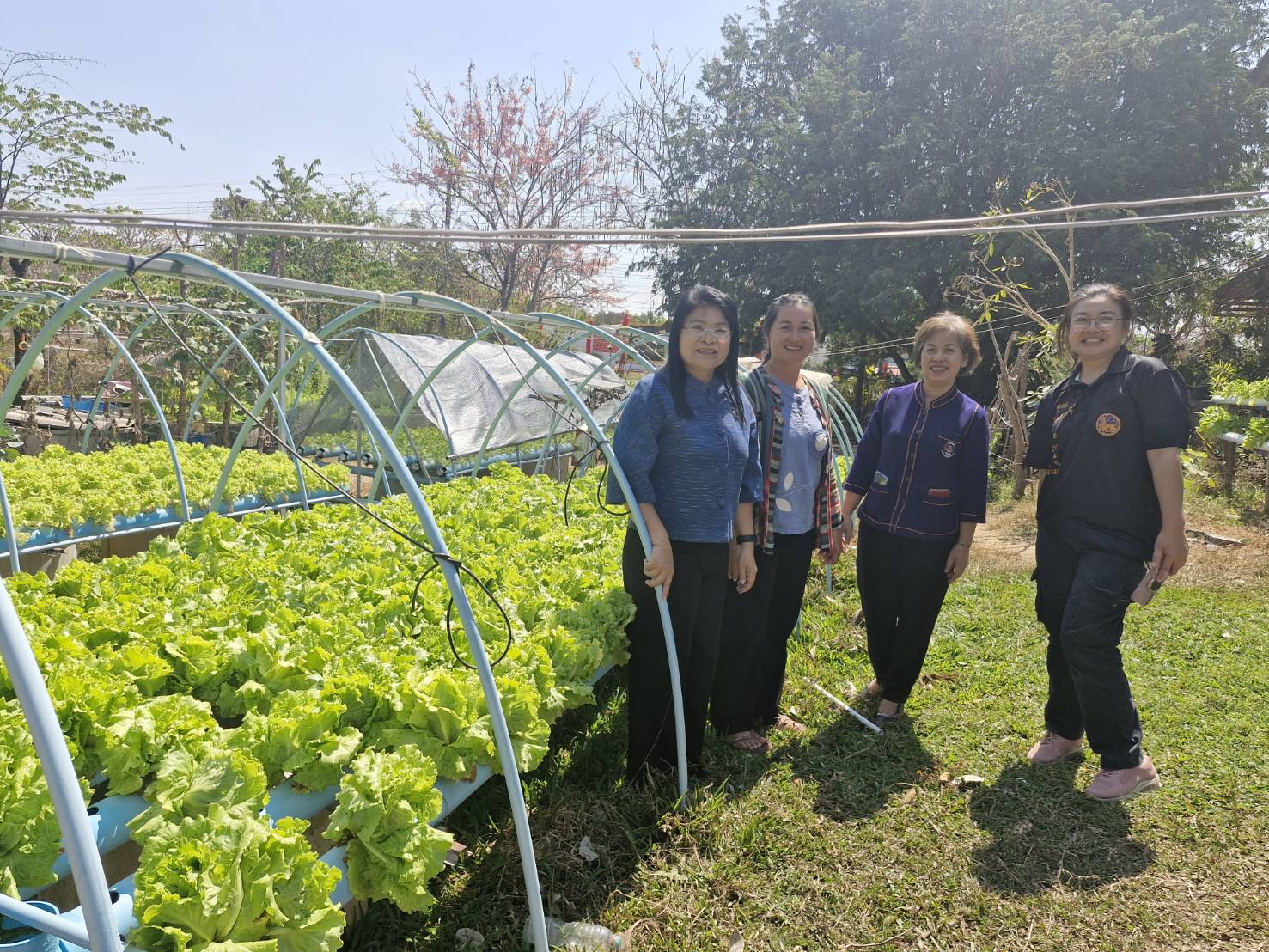 สร้างความมั่นคงทางอาหาร ปลุูกพืชปลูกผัก 